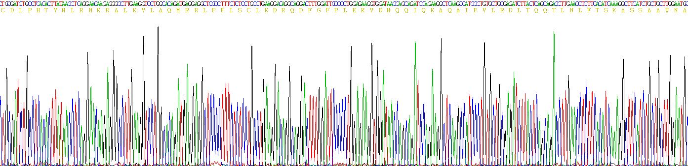 Eukaryotic Interferon Alpha 2 (IFNa2)