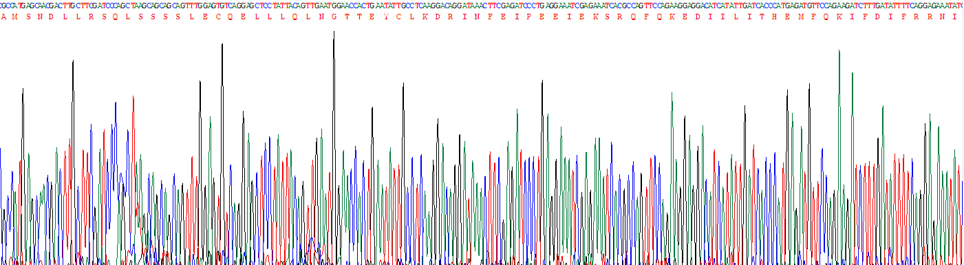 Eukaryotic Interferon Beta (IFNb)