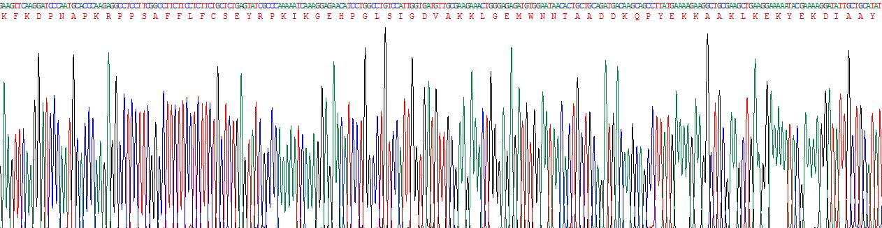 Eukaryotic High Mobility Group Protein 1 (HMGB1)