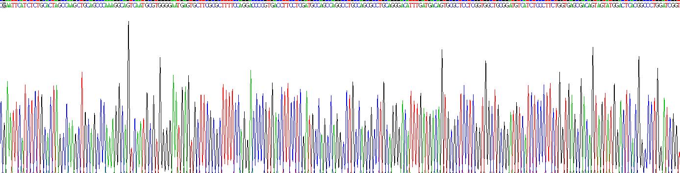 Eukaryotic Thrombomodulin (TM)