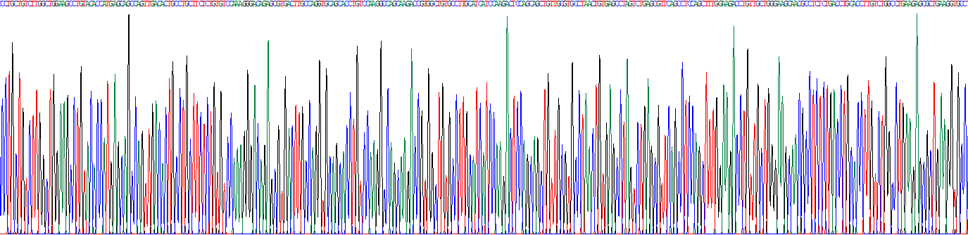 Eukaryotic Immunoglobulin A (IgA)