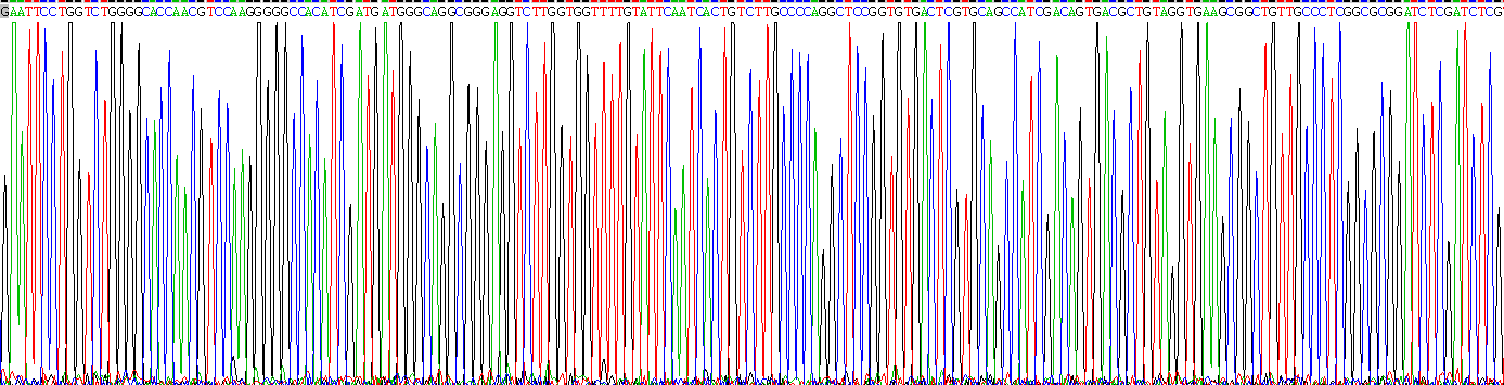 Eukaryotic Procollagen I C-Terminal Propeptide (PICP)