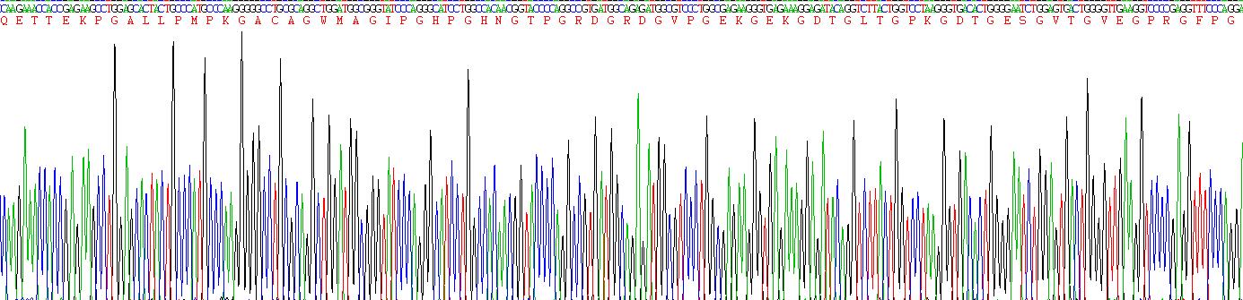 Eukaryotic Adiponectin (ADPN)