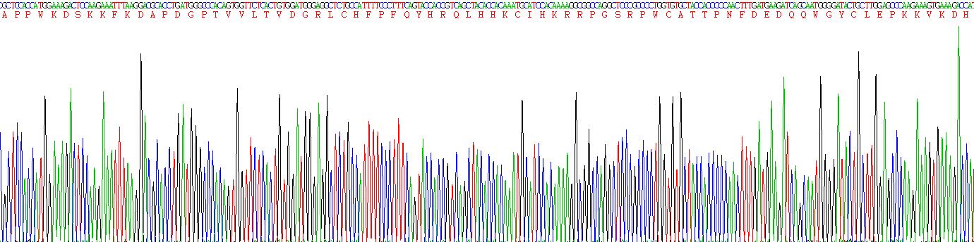 Eukaryotic Coagulation Factor XII (F12)