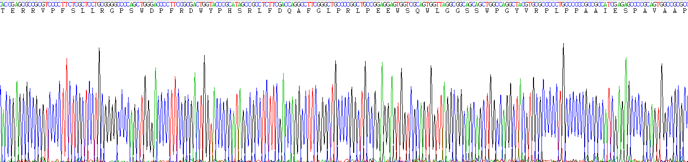 Eukaryotic Heat Shock Protein 27 (Hsp27)