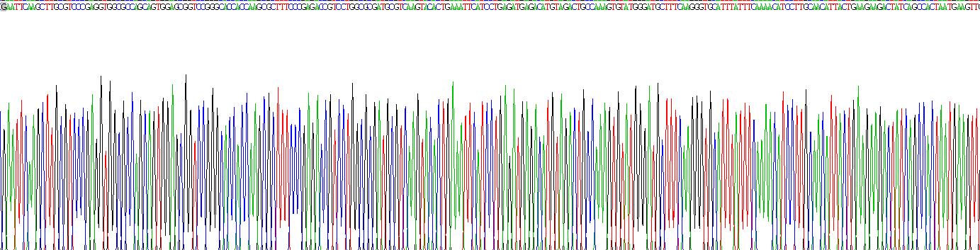 Eukaryotic Cluster Of Differentiation 38 (CD38)