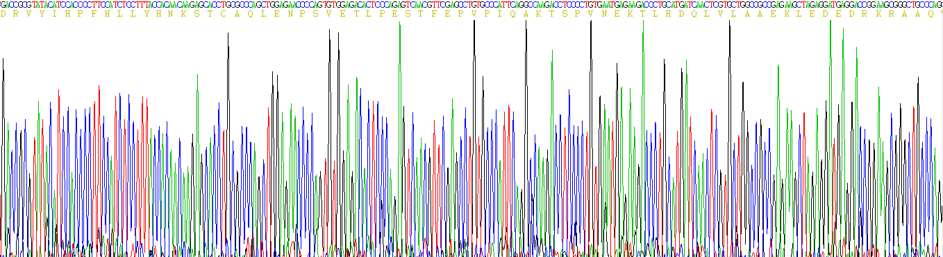 Eukaryotic Angiotensinogen (AGT)