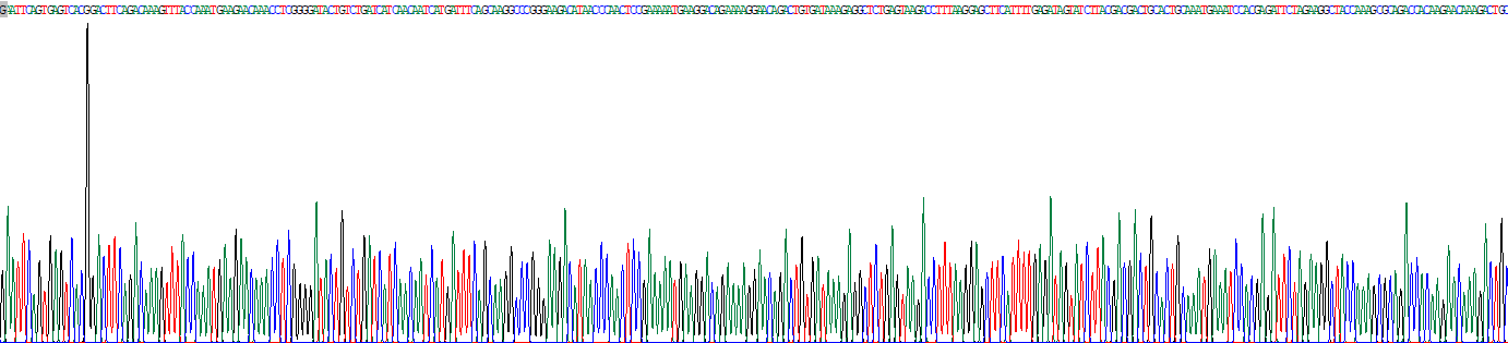 Eukaryotic Caspase 8 (CASP8)