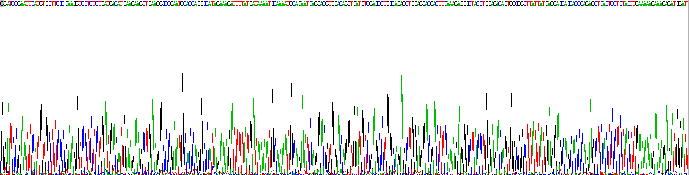 Eukaryotic Osteopontin (OPN)