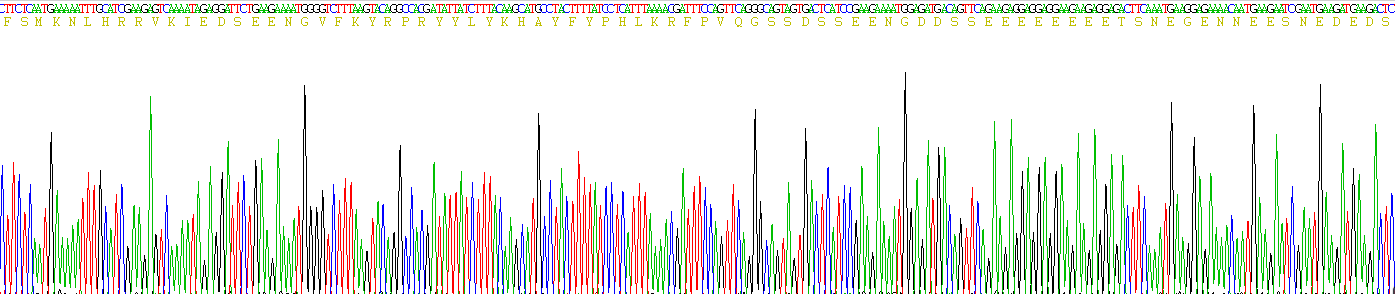 Eukaryotic Bone Sialoprotein (BSP)