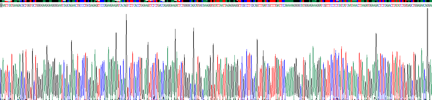 Eukaryotic Cluster Of Differentiation 4 (CD4)