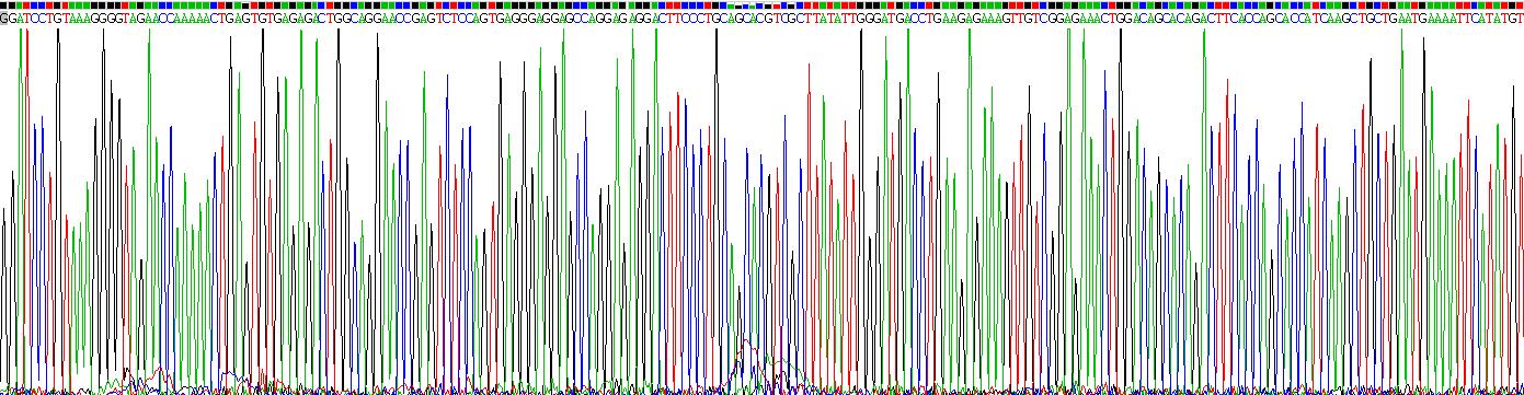 Eukaryotic Transferrin Receptor (TFR)