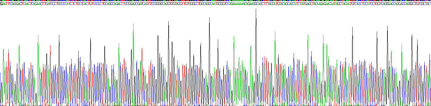 Eukaryotic Neutrophil gelatinase-associated lipocalin (NGAL)