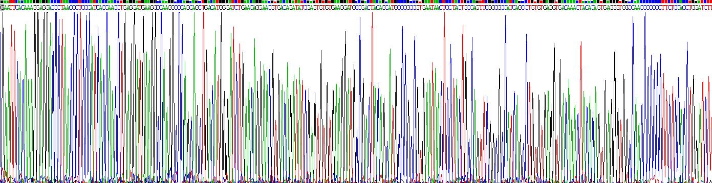 Eukaryotic Interleukin 3 Receptor Alpha (IL3Ra)