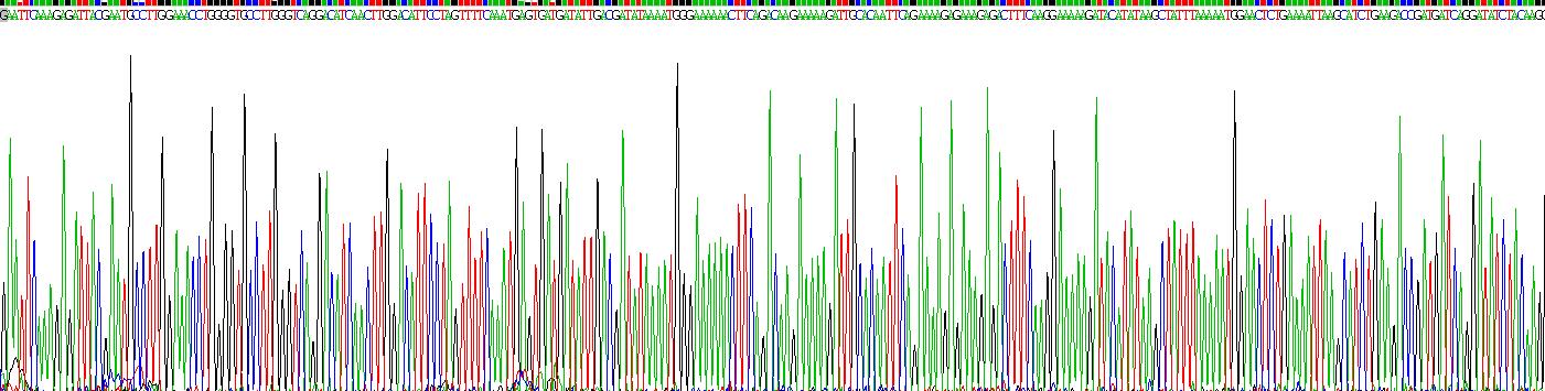 Eukaryotic Cluster Of Differentiation 2 (CD2)