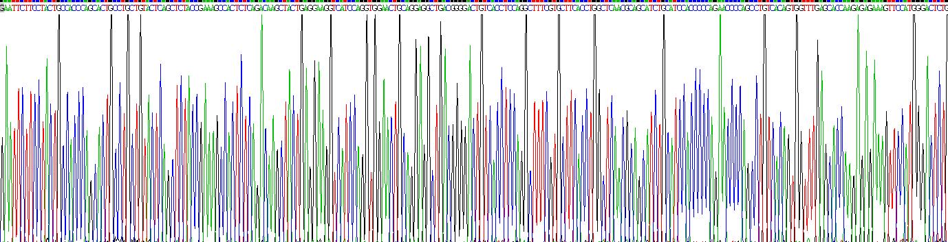 Eukaryotic Chemokine (C-X-C Motif) Ligand 27 (CCL27)