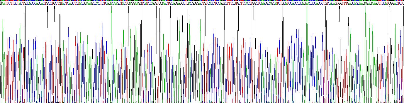 Eukaryotic Chemokine (C-X-C Motif) Ligand 27 (CCL27)