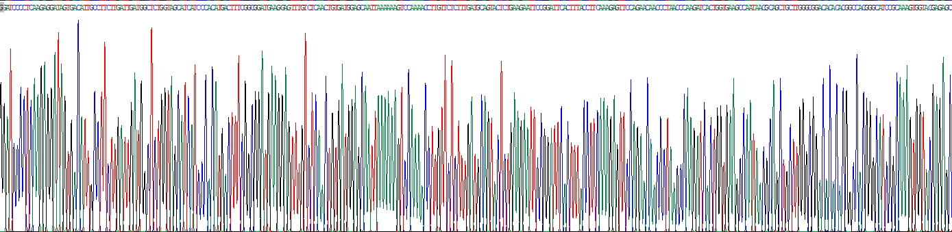 Eukaryotic Integrin Alpha M (CD11b)