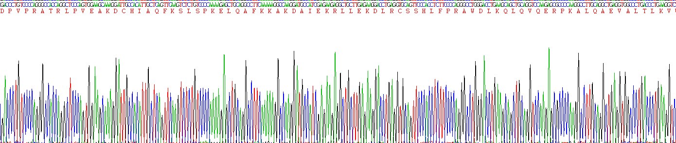 Eukaryotic Interleukin 28A (IL28A)