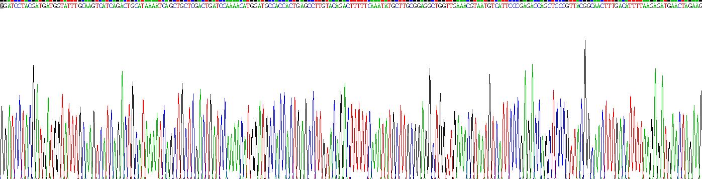 Eukaryotic Neprilysin (CD10)
