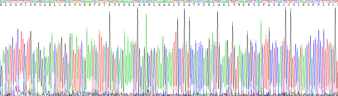 Eukaryotic Vitamin D Binding Protein (DBP)