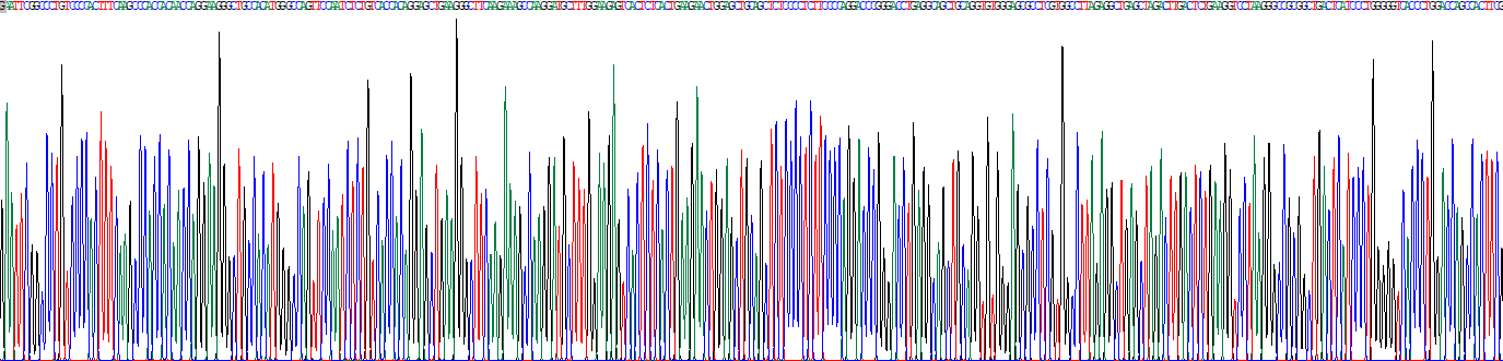 Eukaryotic Interleukin 29 (IL29)