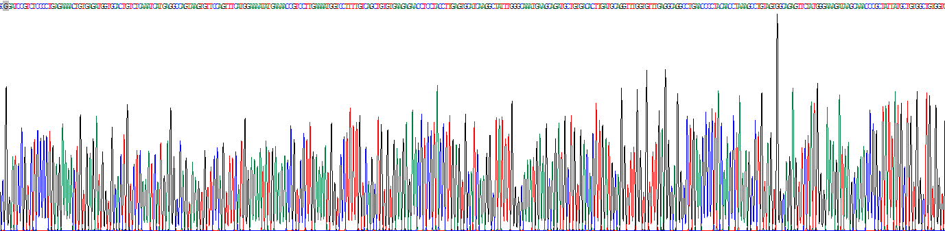 Eukaryotic Transferrin (TF)