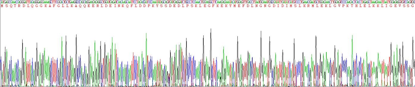 Eukaryotic Allograft inflammatory factor 1 (AIF1)