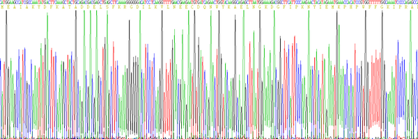 Eukaryotic Growth Factor Receptor Bound Protein 2 (Grb2)