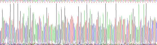 Eukaryotic Histidine Rich Glycoprotein (HRG)