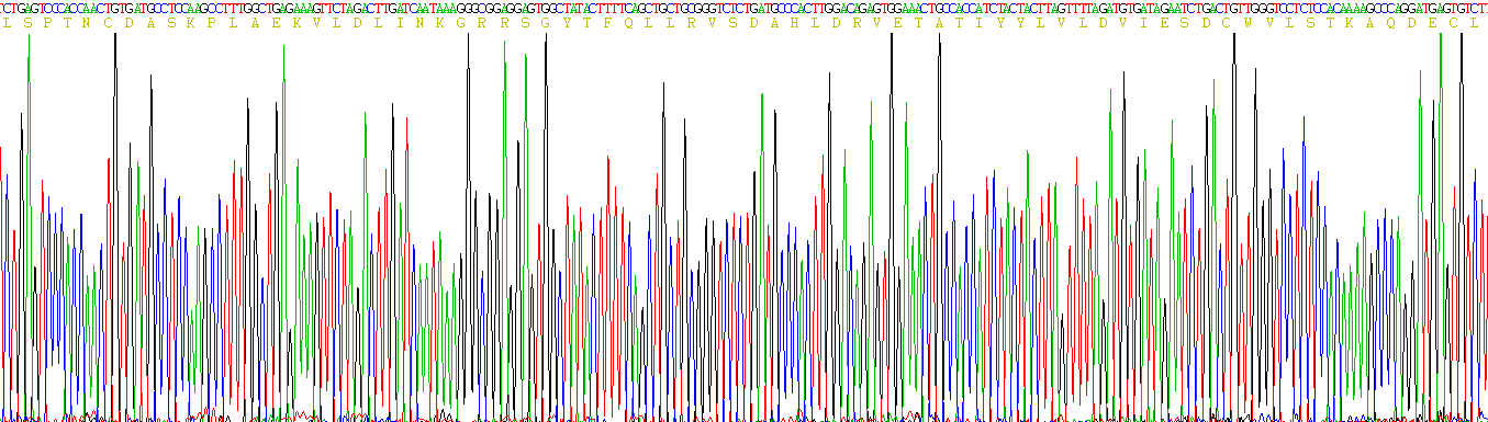 Eukaryotic Histidine Rich Glycoprotein (HRG)