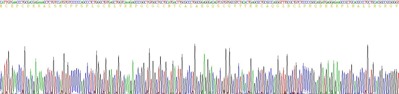 Eukaryotic Insulin Like Growth Factor Binding Protein 5 (IGFBP5)