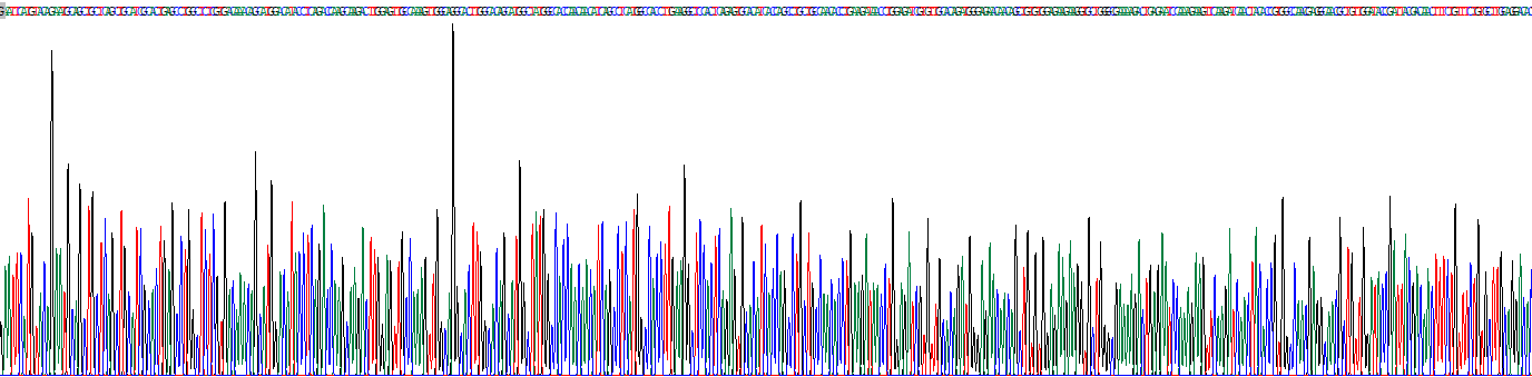 Eukaryotic Progestagen Associated Endometrial Protein (PAEP)