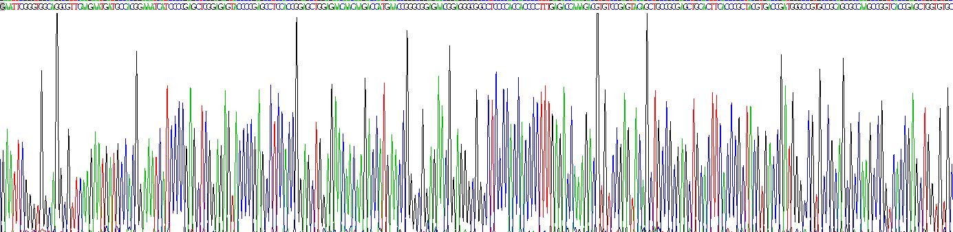 Eukaryotic Sclerostin (SOST)