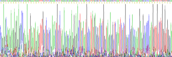 Eukaryotic FK506 Binding Protein 7 (FKBP7)