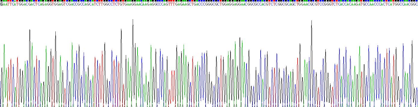 Eukaryotic Catenin Delta 1 (CTNNd1)