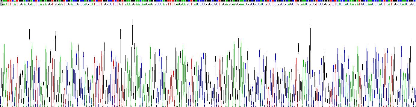 Eukaryotic Catenin Delta 1 (CTNNd1)