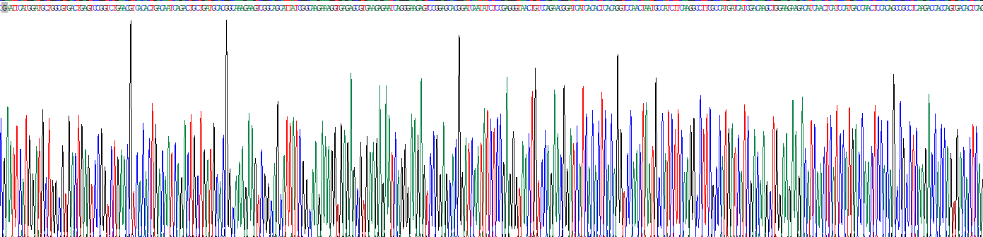 Eukaryotic Poly/rC Binding Protein 1 (PCBP1)