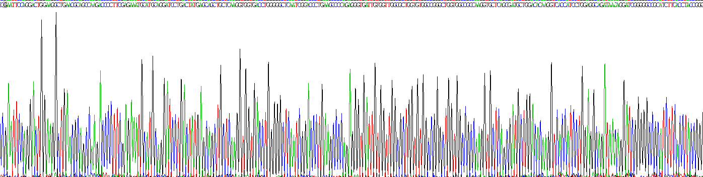 Eukaryotic Interleukin 4 Induced Protein 1 (IL4I1)