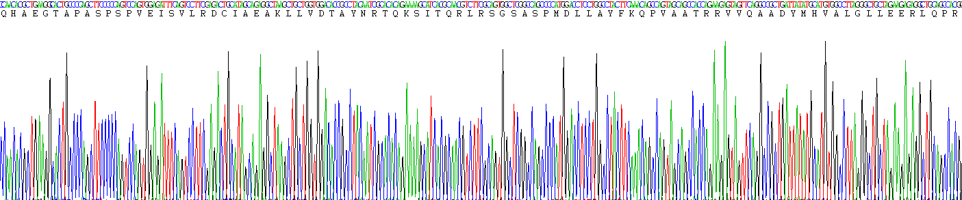 Eukaryotic Eosinophil Peroxidase (EPX)