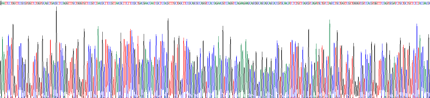 Eukaryotic Ras Induced Senescence 1 (RIS1)