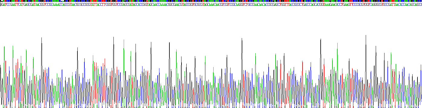 Eukaryotic Nucleoprotein (NP)