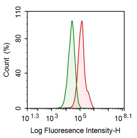 Anti-Connective Tissue Growth Factor (CTGF) Monoclonal Antibody
