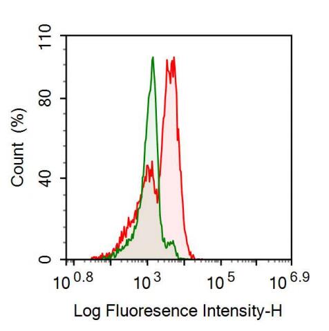 Anti-Cluster Of Differentiation 33 (CD33) Monoclonal Antibody