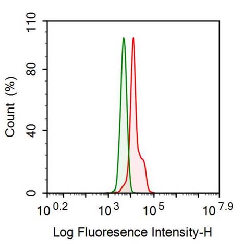 Anti-Insulin Like Growth Factor Binding Protein 1 (IGFBP1) Monoclonal Antibody