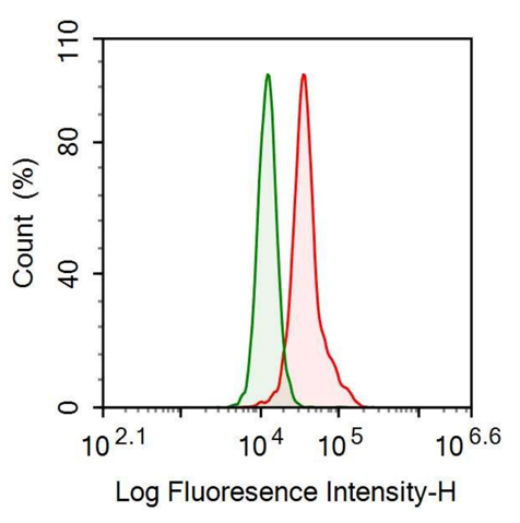 Anti-Nerve Growth Factor (NGF) Monoclonal Antibody