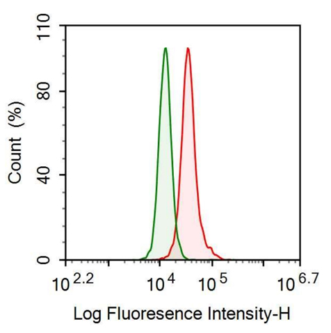 Anti-Nerve Growth Factor (NGF) Monoclonal Antibody