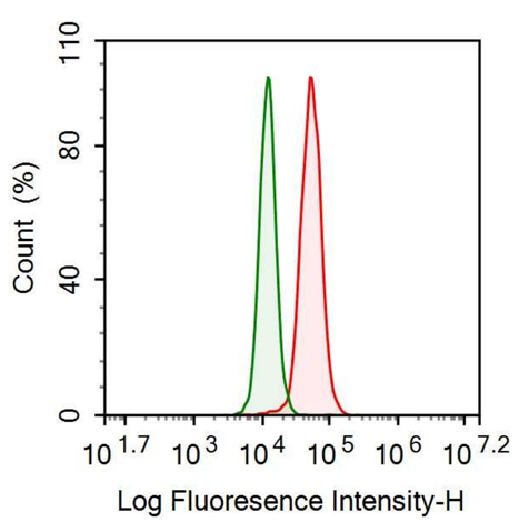 Anti-Nerve Growth Factor (NGF) Monoclonal Antibody