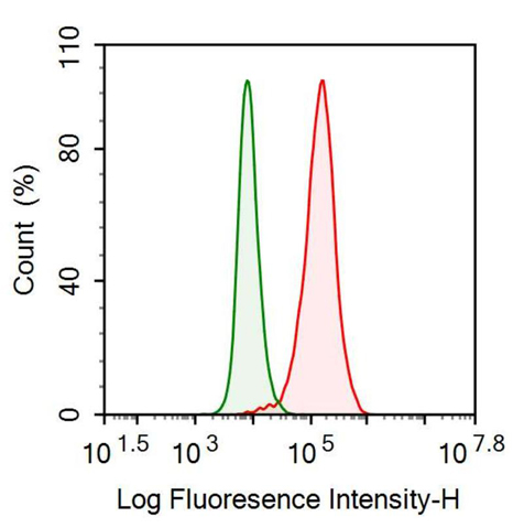 Anti-Superoxide Dismutase 3, Extracellular (SOD3) Monoclonal Antibody