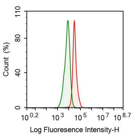 Anti-Alpha-Fetoprotein (AFP) Monoclonal Antibody